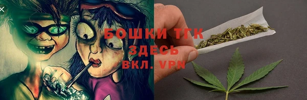 гашик Вязьма