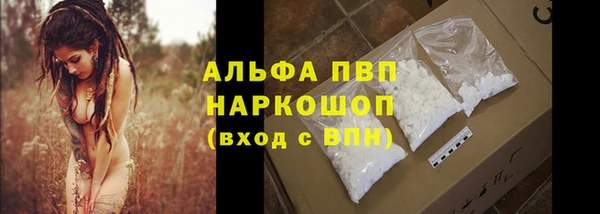гашик Вязьма