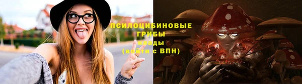 молекула духа Вяземский