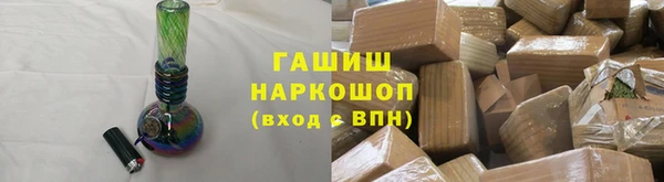 молекула духа Вяземский