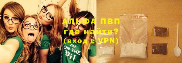 гашик Вязьма