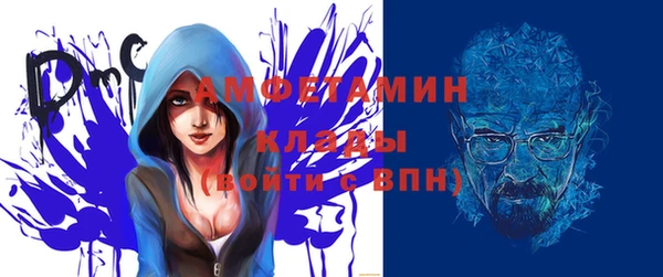молекула духа Вяземский