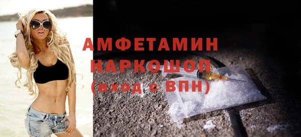 молекула духа Вяземский