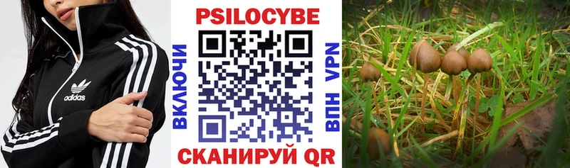 Галлюциногенные грибы GOLDEN TEACHER Павловский Посад